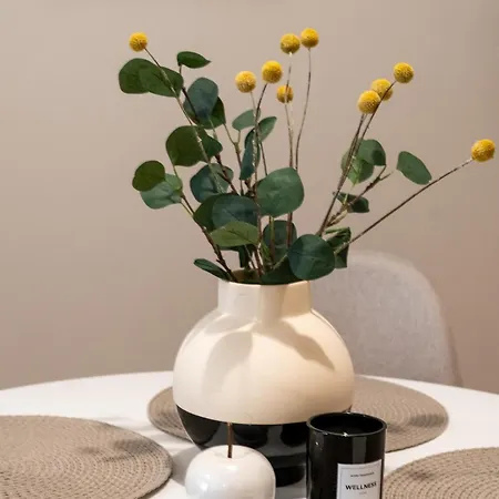 Oasis In The Heart Of